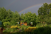 Regenbogen-Bild oder Foto