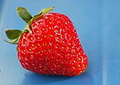 Erdbeeren-Bild oder Foto